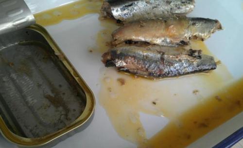 sardines